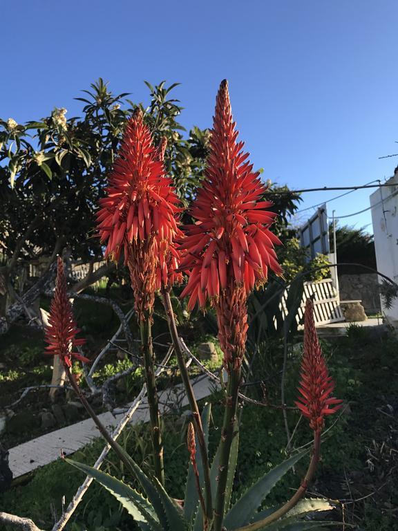マセイラ Porto Monte Bed & Breakfast エクステリア 写真